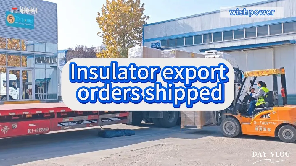 Wishpower HDPE Pin Insulator Shipment Video