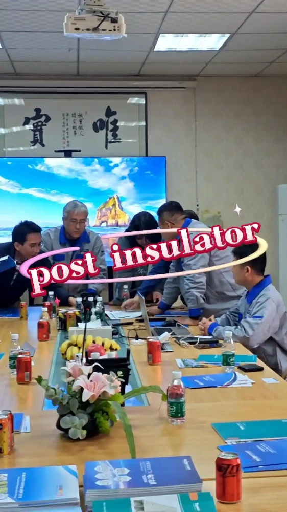 Post Insulator Manufacturer | Factory Visits Welcome